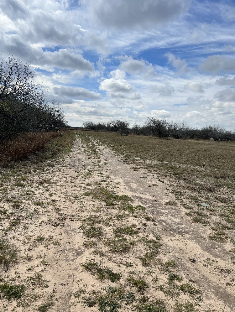 Cty Rd 101 El Toro Rd Spur 12 Alice, TX 78332 - Photo 7 of 19