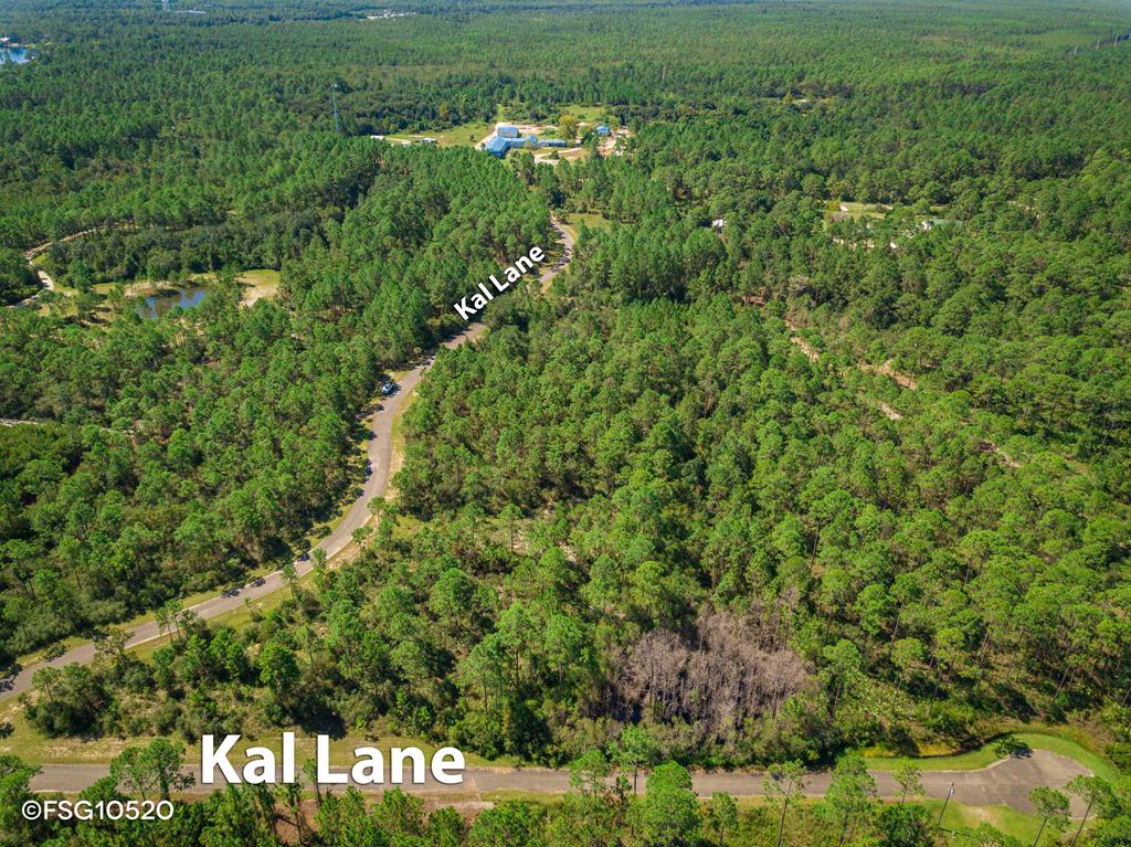 1 Kal Lane Carrabelle, FL 32322 - Photo 11 of 12