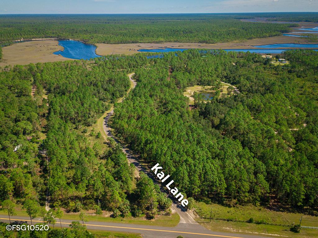 1 Kal Lane Carrabelle, FL 32322 - Photo 5 of 12