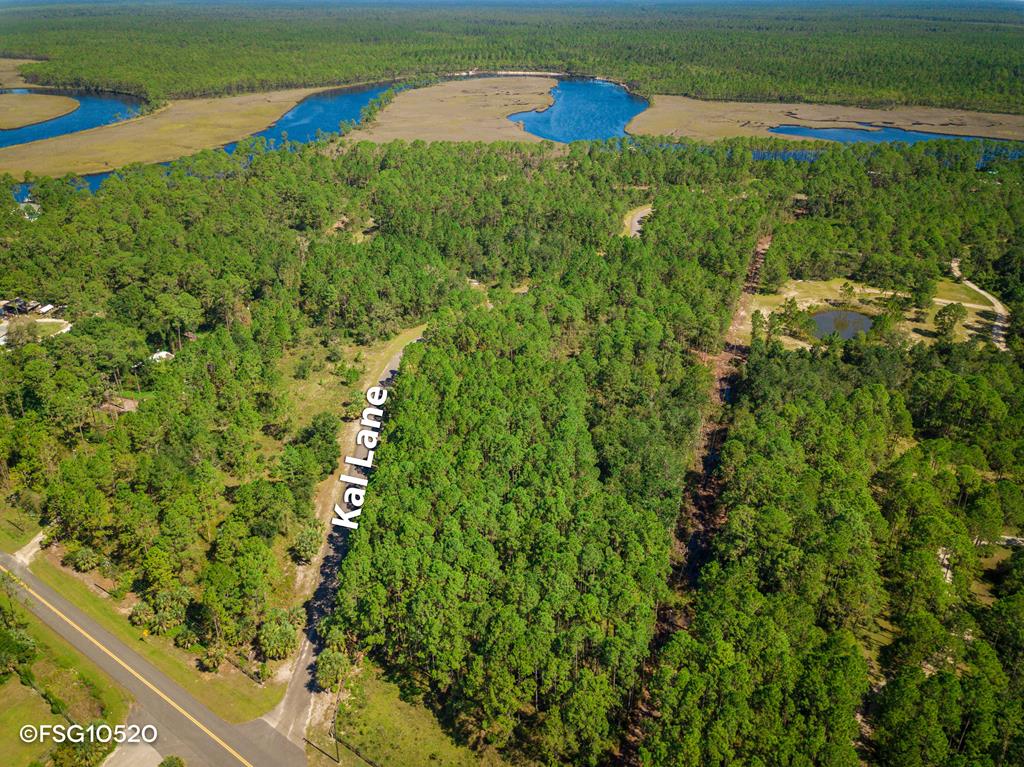 1 Kal Lane Carrabelle, FL 32322 - Photo 7 of 12