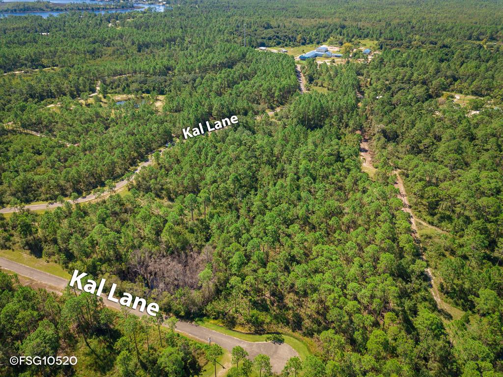 1 Kal Lane Carrabelle, FL 32322 - Photo 9 of 12