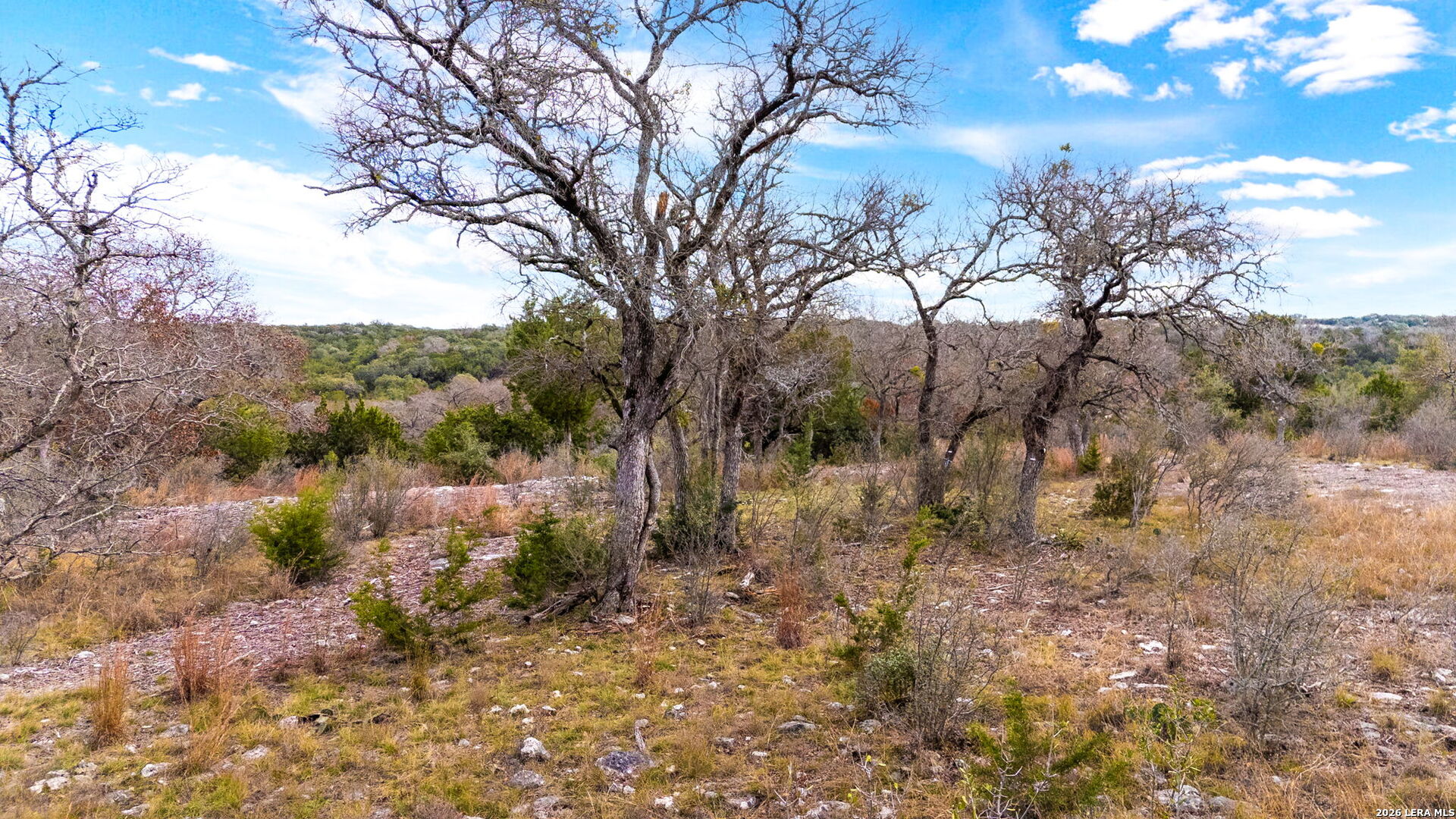 Lot 12 Landmark Ridge Bergheim, TX 78004 - Photo 10 of 16 a view of a forest with lots of trees