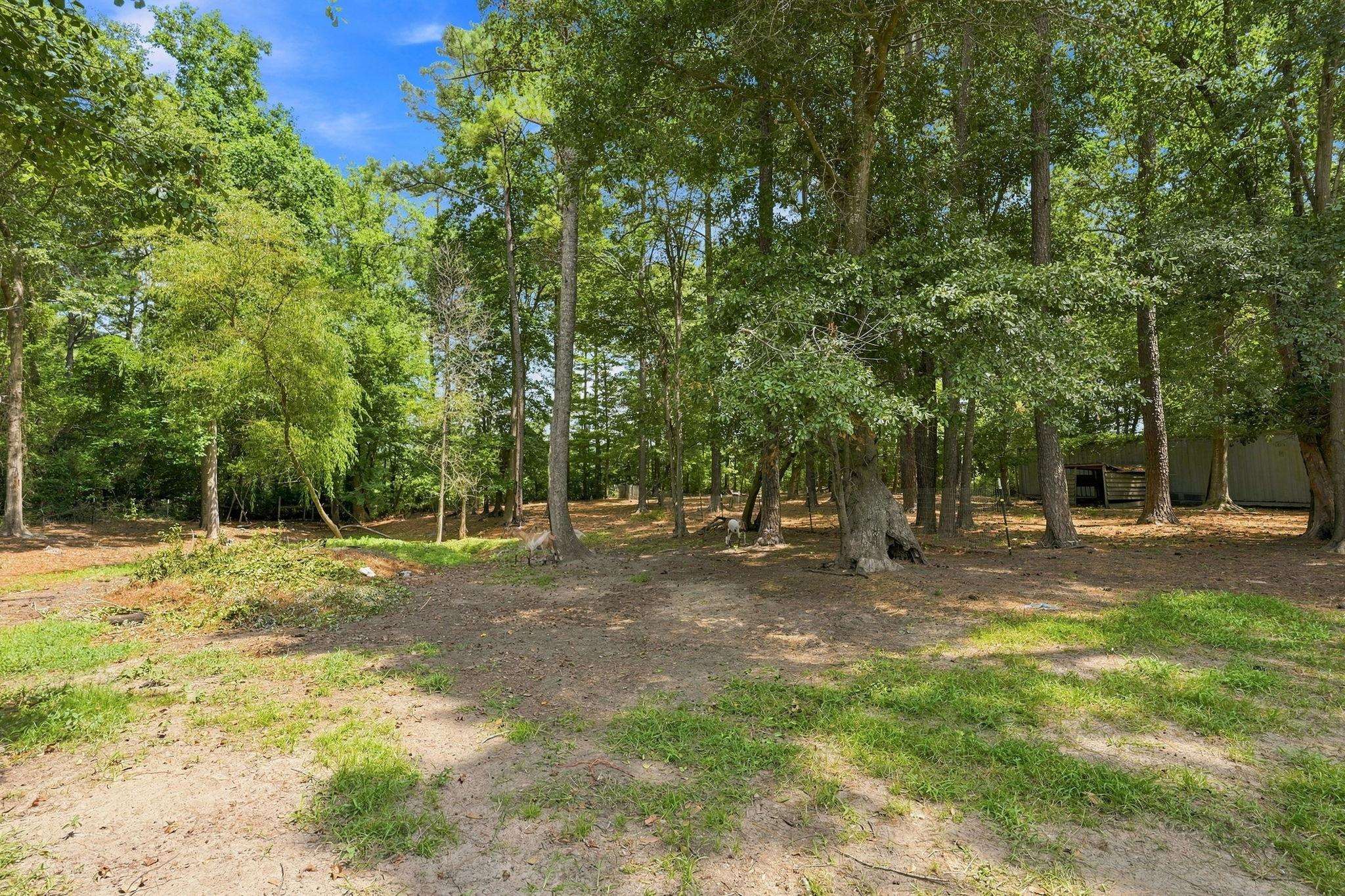 2483 Valley Forge Road Aynor, SC 29511 - Photo 62 of 69