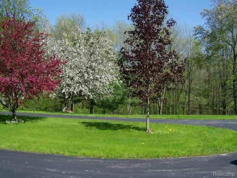 1600 Colwood Road Caro, MI 48723 - Photo 9 of 11 Front Yard