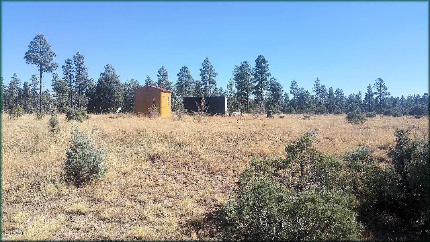 4098 Elk Path Show Low, AZ 85901 - Photo 3 of 5