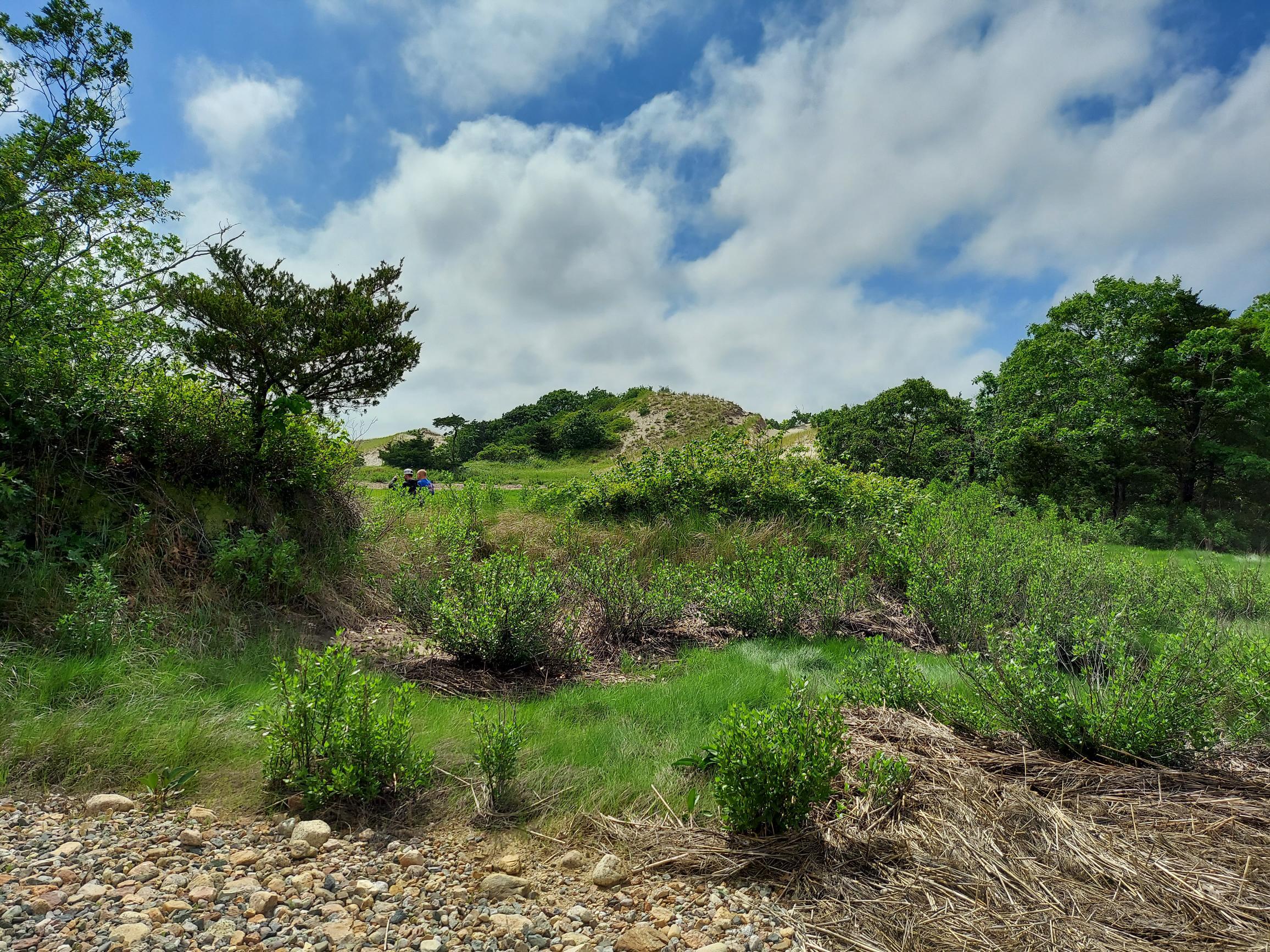 60 Sandy Neck Road East Sandwich, MA 02537 - Photo 11 of 25 20220609_152138