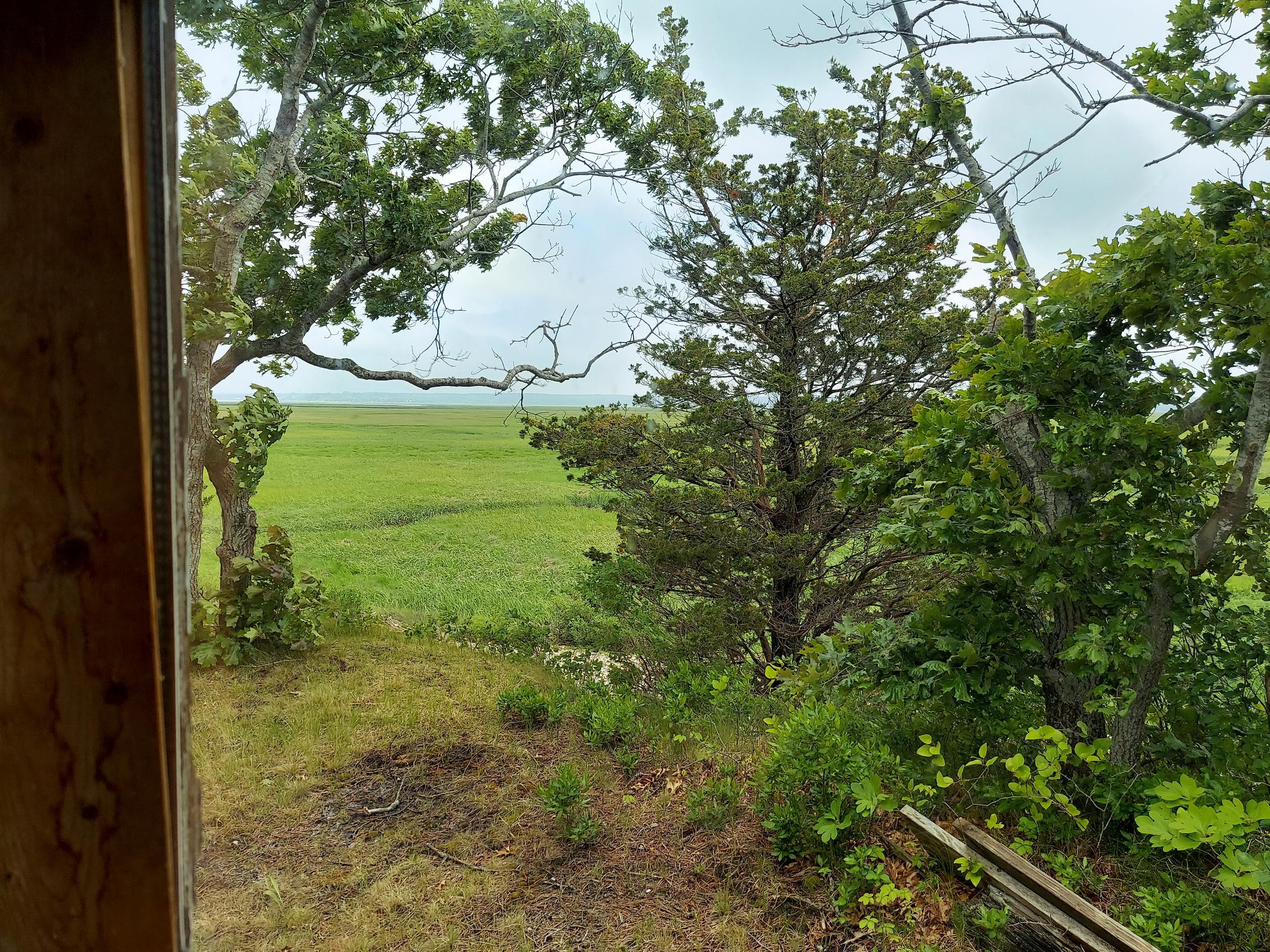 60 Sandy Neck Road East Sandwich, MA 02537 - Photo 17 of 25 20220609_151414