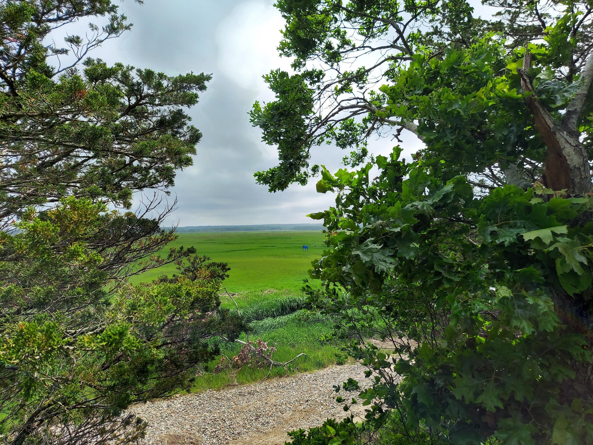 60 Sandy Neck Road East Sandwich, MA 02537 - Photo 6 of 25 20220609_150918
