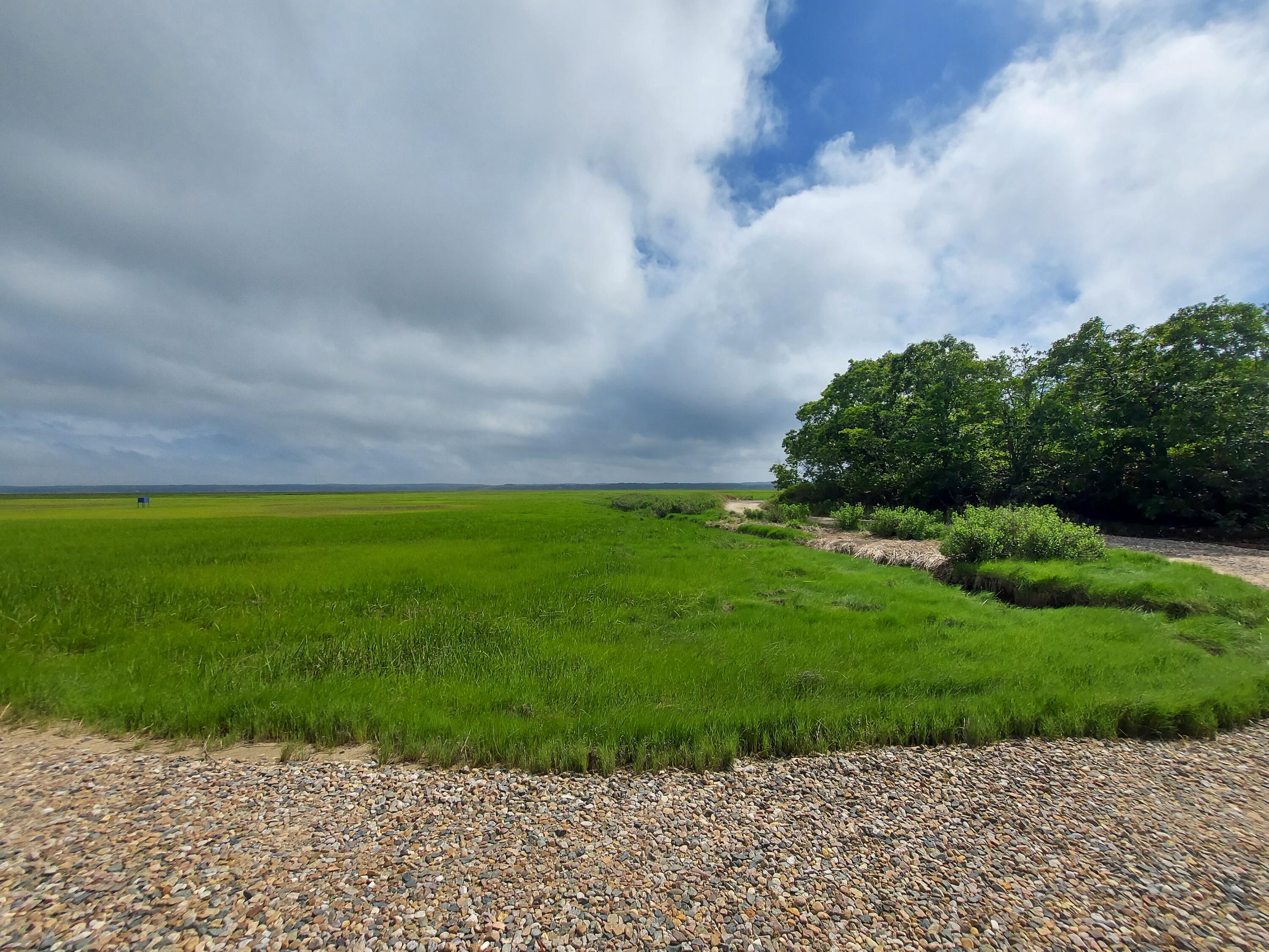60 Sandy Neck Road East Sandwich, MA 02537 - Photo 7 of 25 20220609_152320 (003)