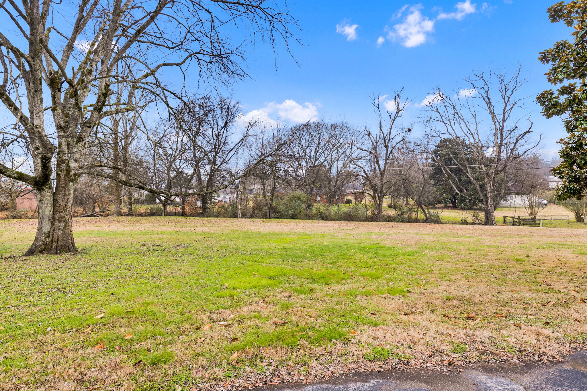 102 Sunset Drive Pulaski, TN 38478 - Photo 35 of 37 a view of yard with large trees