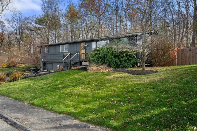 a backyard of a house with plants and large tree