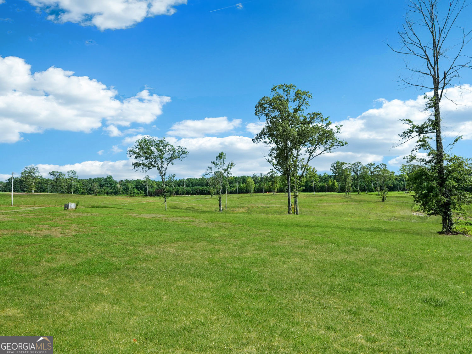 357 Old Driver Road Whitesburg, GA 30185 - Photo 27 of 75 a view of a golf course with a lake