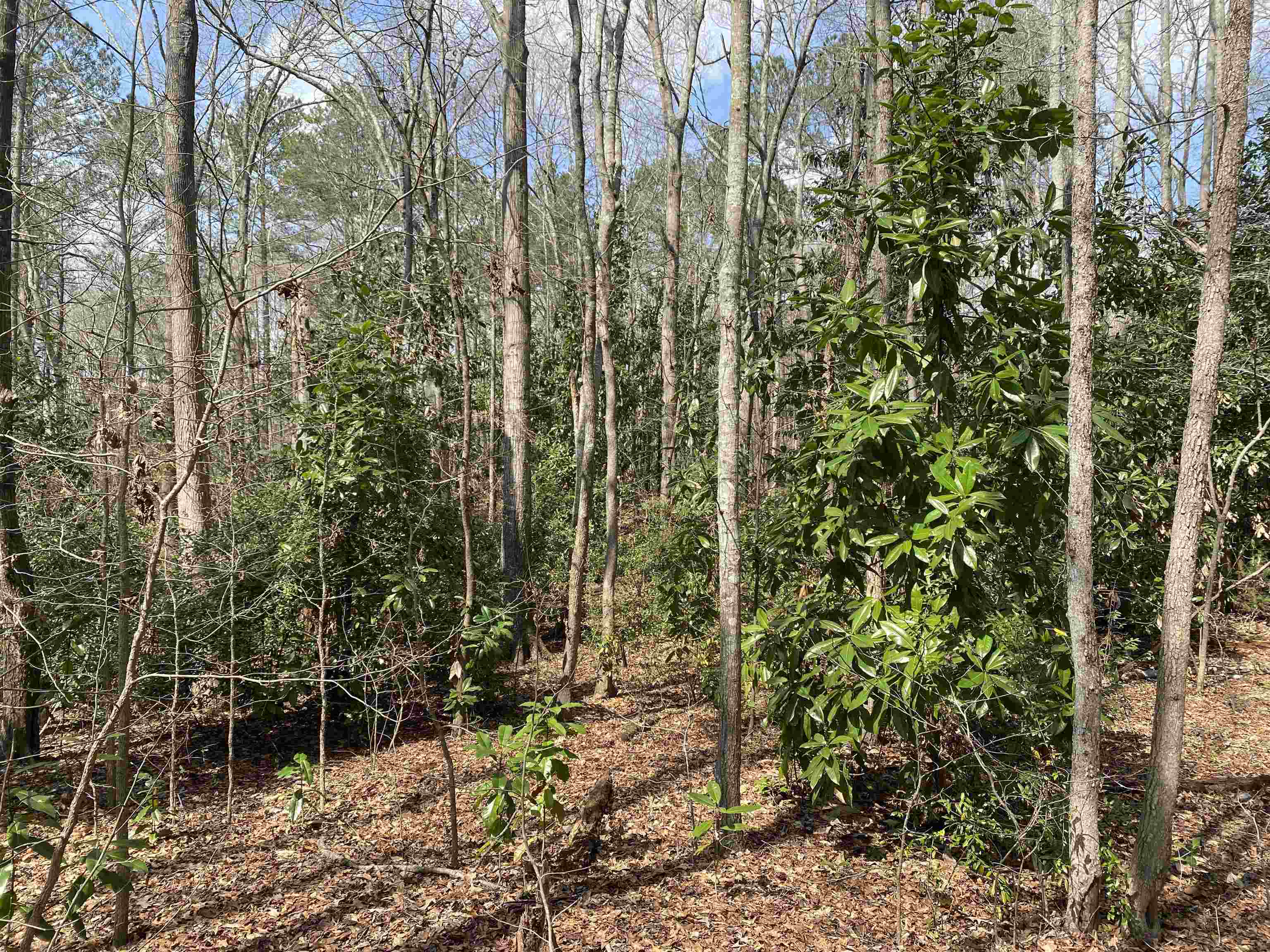 0 Boyd Street Union, SC 29379 - Photo 2 of 8 Gallery Image 2
