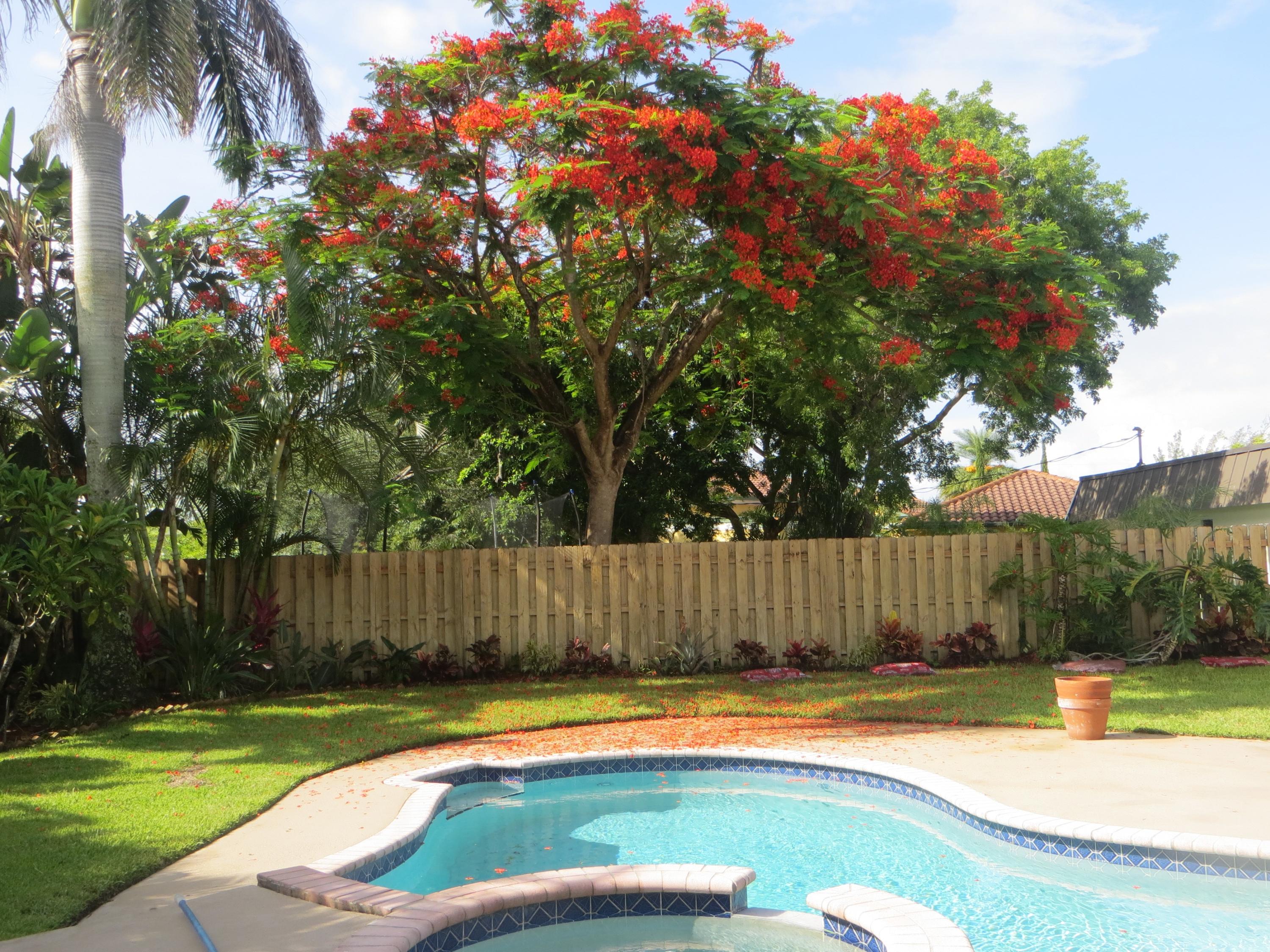 638 High Street Boca Raton, FL 33432 - Photo 26 of 35 IMG_2905