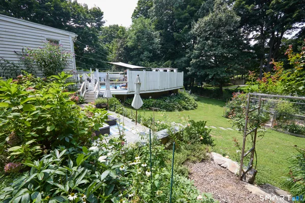 a view of backyard with a barn and a cactus plant