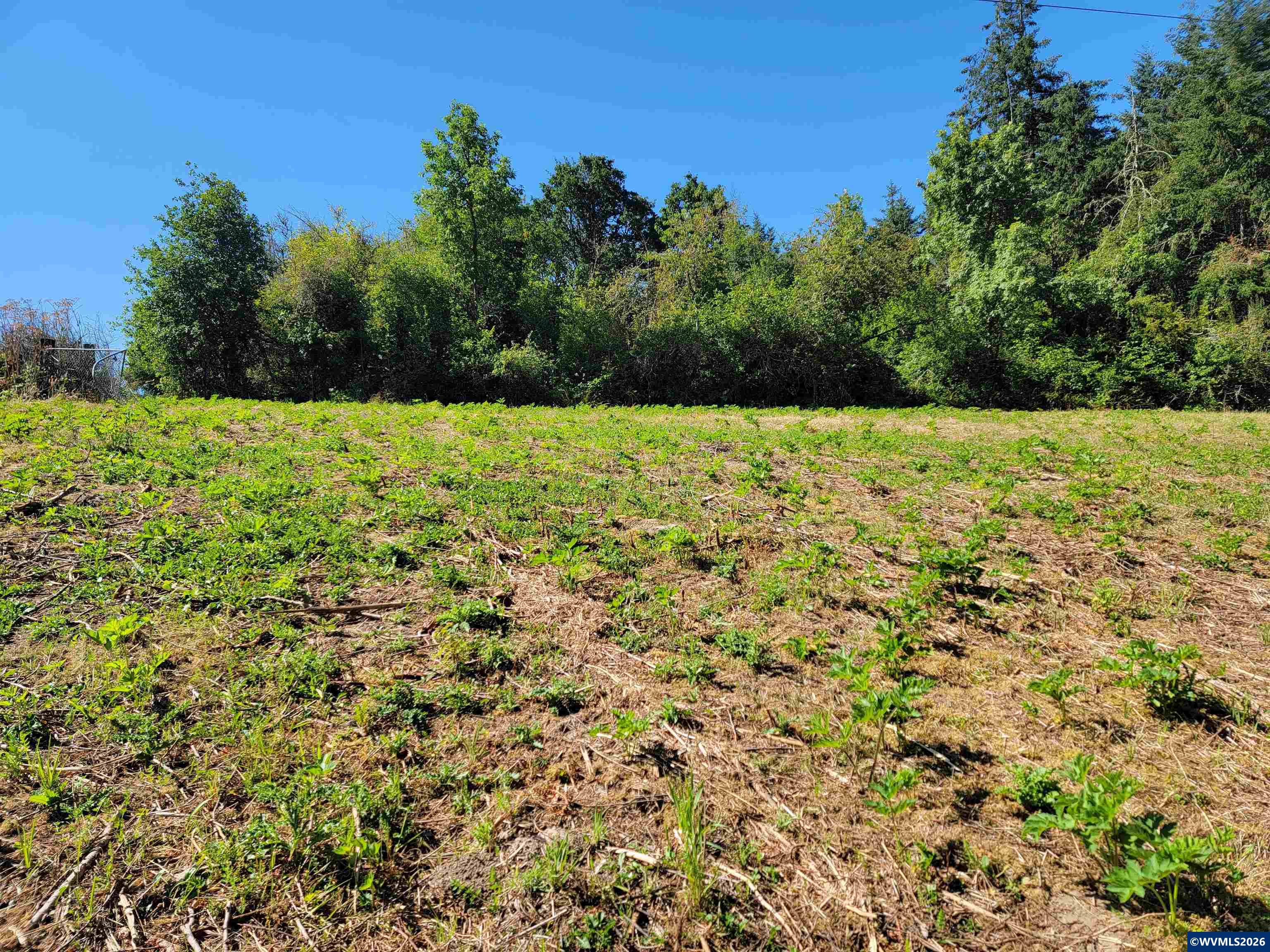 0 Oak Grove Albany, OR 97321 - Photo 26 of 30