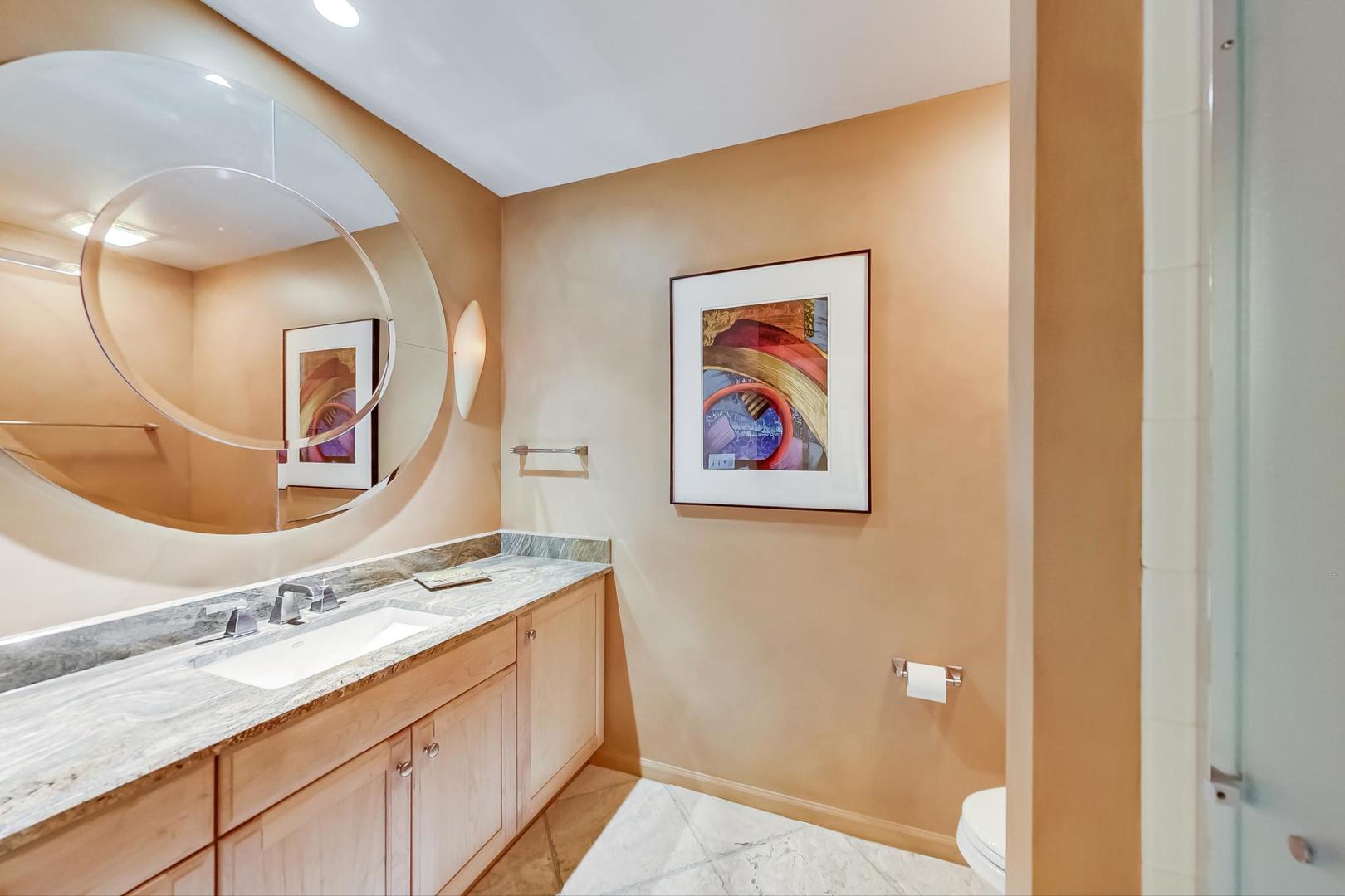 950 Augusta Way, Unit 204 Highland Park, IL 60035 - Photo 13 of 36 a bathroom with a sink a mirror and a picture on the wall