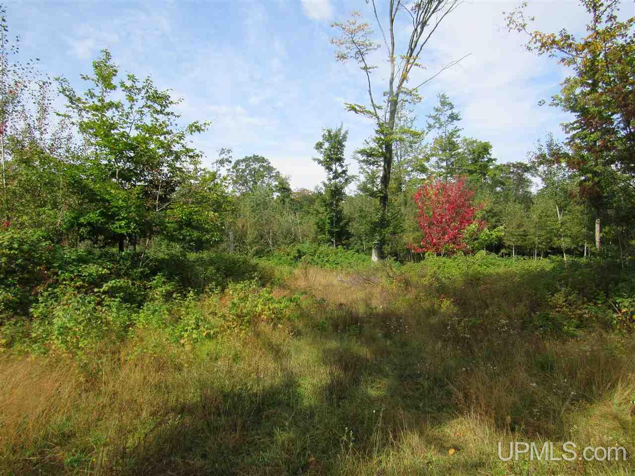 Tbd Ff Road, Unit 13A Garden, MI 49835 - Photo 2 of 8