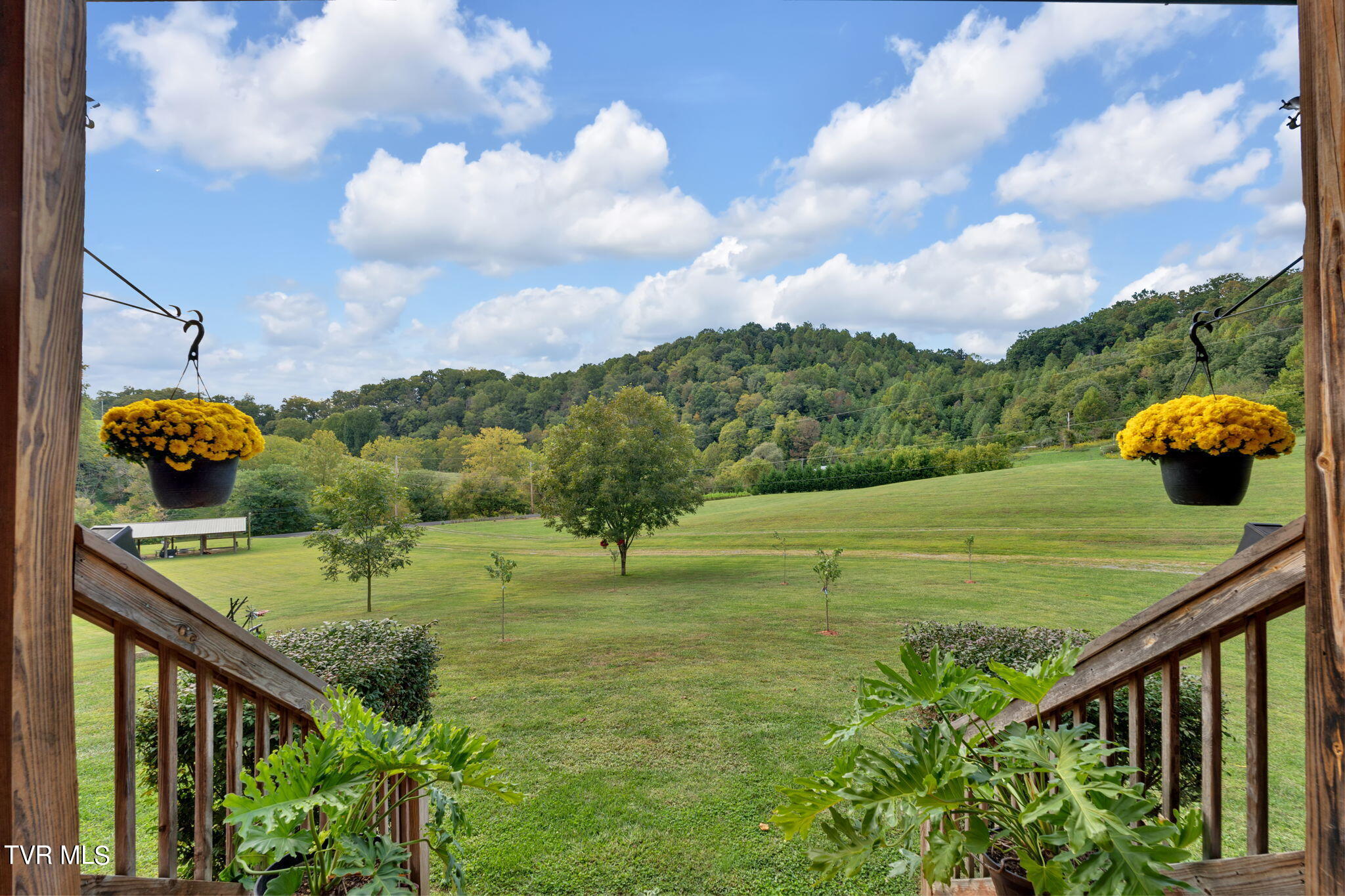 2920 Ann Goode Cooper Road Hiltons, VA 24258 - Photo 45 of 69 42-web-or-mls-JH 20240918-130-2