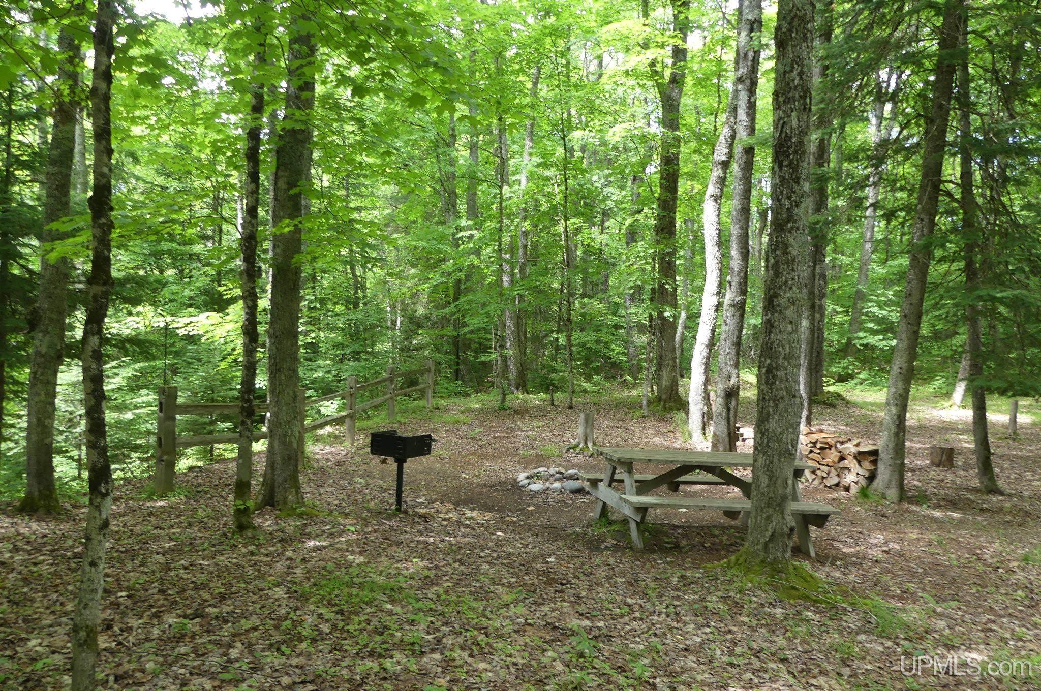 47 East 3rd Road Seney, MI 49883 - Photo 14 of 30 Gallery Image 14