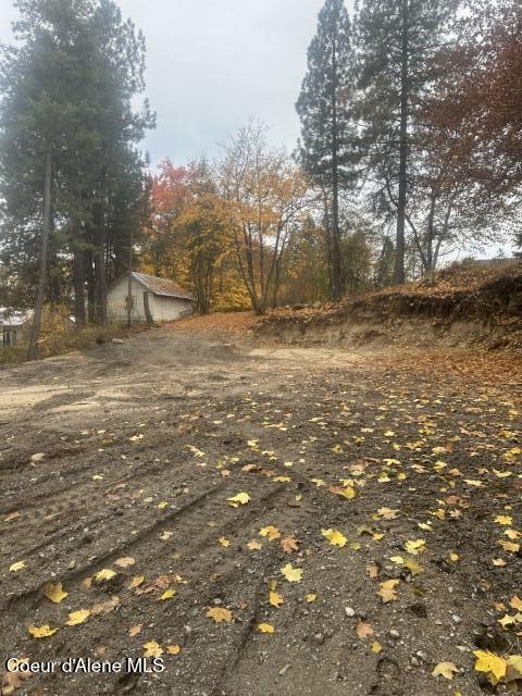 393 Ac ) 2nd Street Priest River, ID 83856 - Photo 4 of 10 IMG_9928 (Small)