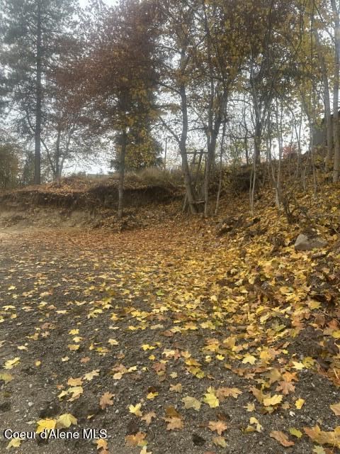 393 Ac ) 2nd Street Priest River, ID 83856 - Photo 5 of 10 IMG_9929 (Small)