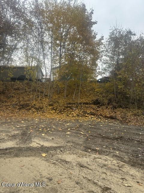 393 Ac ) 2nd Street Priest River, ID 83856 - Photo 8 of 10 IMG_9932 (Small)