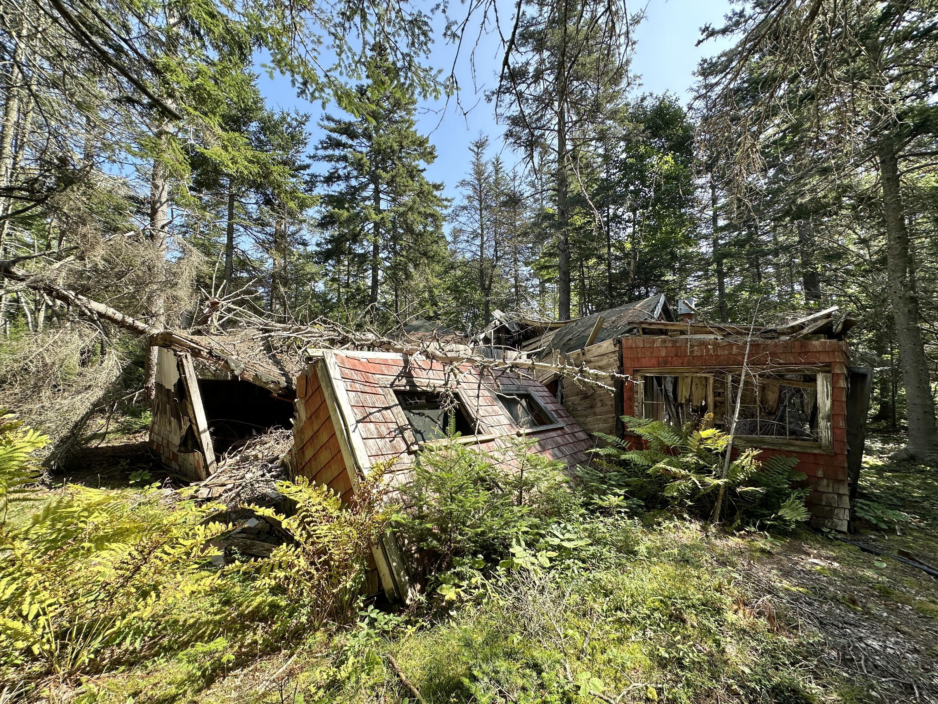 31 Fay Road Spruce Head, ME 04859 - Photo 43 of 77 IMG_1065
