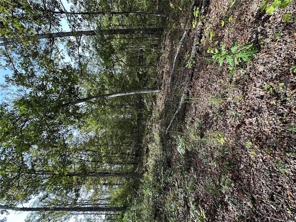 636 County Road 636 Ellington, MO 63638 - Photo 8 of 42
