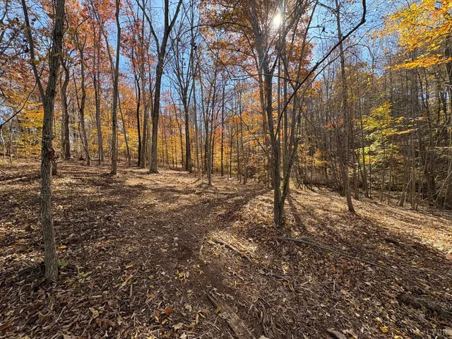 a view of outdoor space with trees