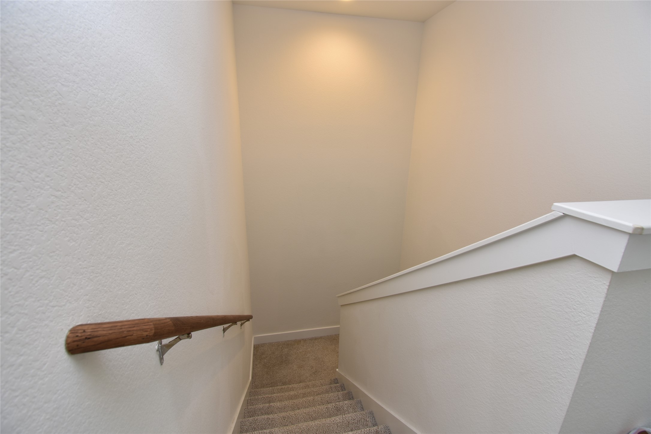 331 Alamar Knot Way, Unit 208 Georgetown, TX 78626 - Photo 10 of 17 A well-lit stairway with carpeted steps and a natural wood handrail for safe passage between levels.