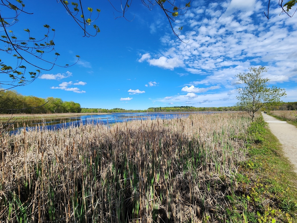 25 Fox Lane Concord, MA 01742 - Photo 20 of 24 a view of lake with green space