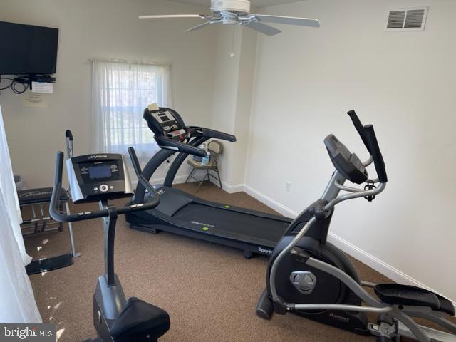 325 Pierce Run Newark, DE 19702 - Photo 41 of 42 a room with gym equipment and windows