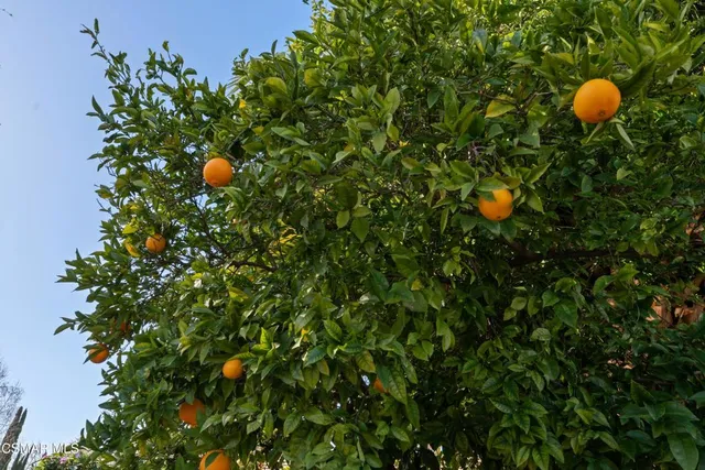 $1,299,000 | 3021 East Black Hills Court, Westlake Village, CA 91362