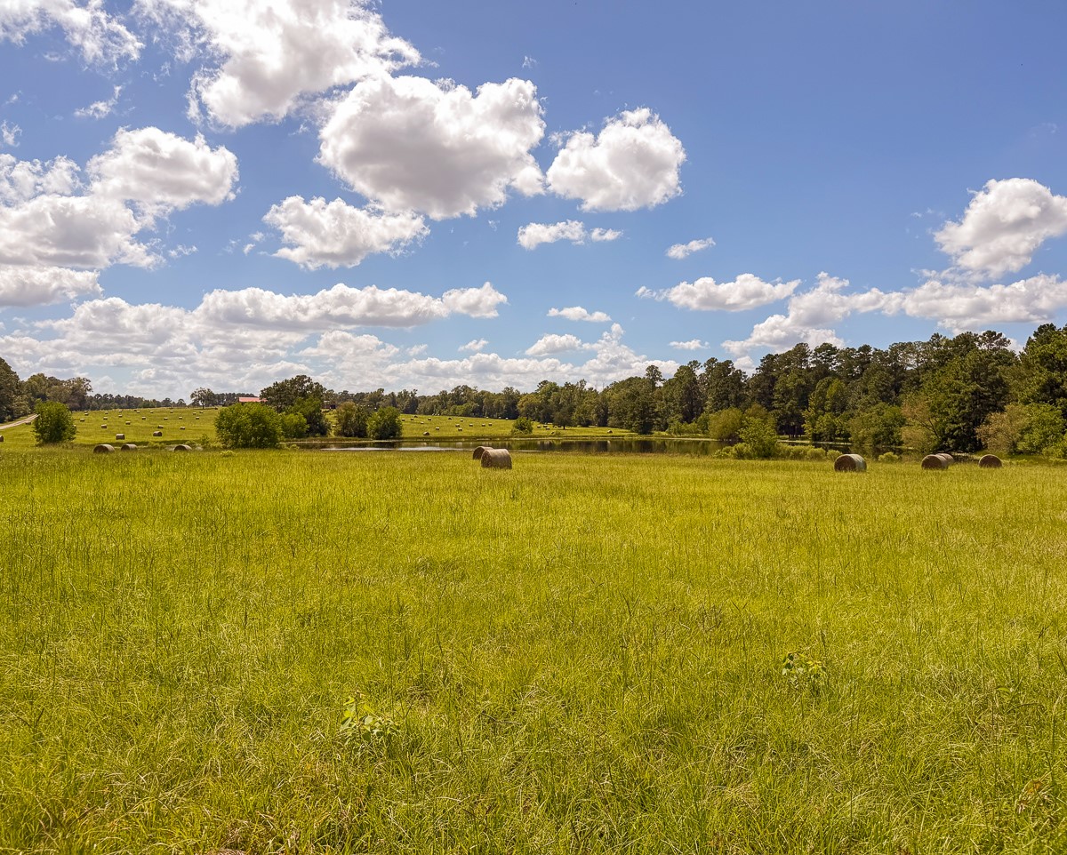 567 Tamie Lowe Road Moscow, TX 75960 - Photo 45 of 50 Gallery Image 45