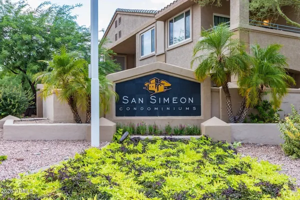 a view of a backyard with garden and plants