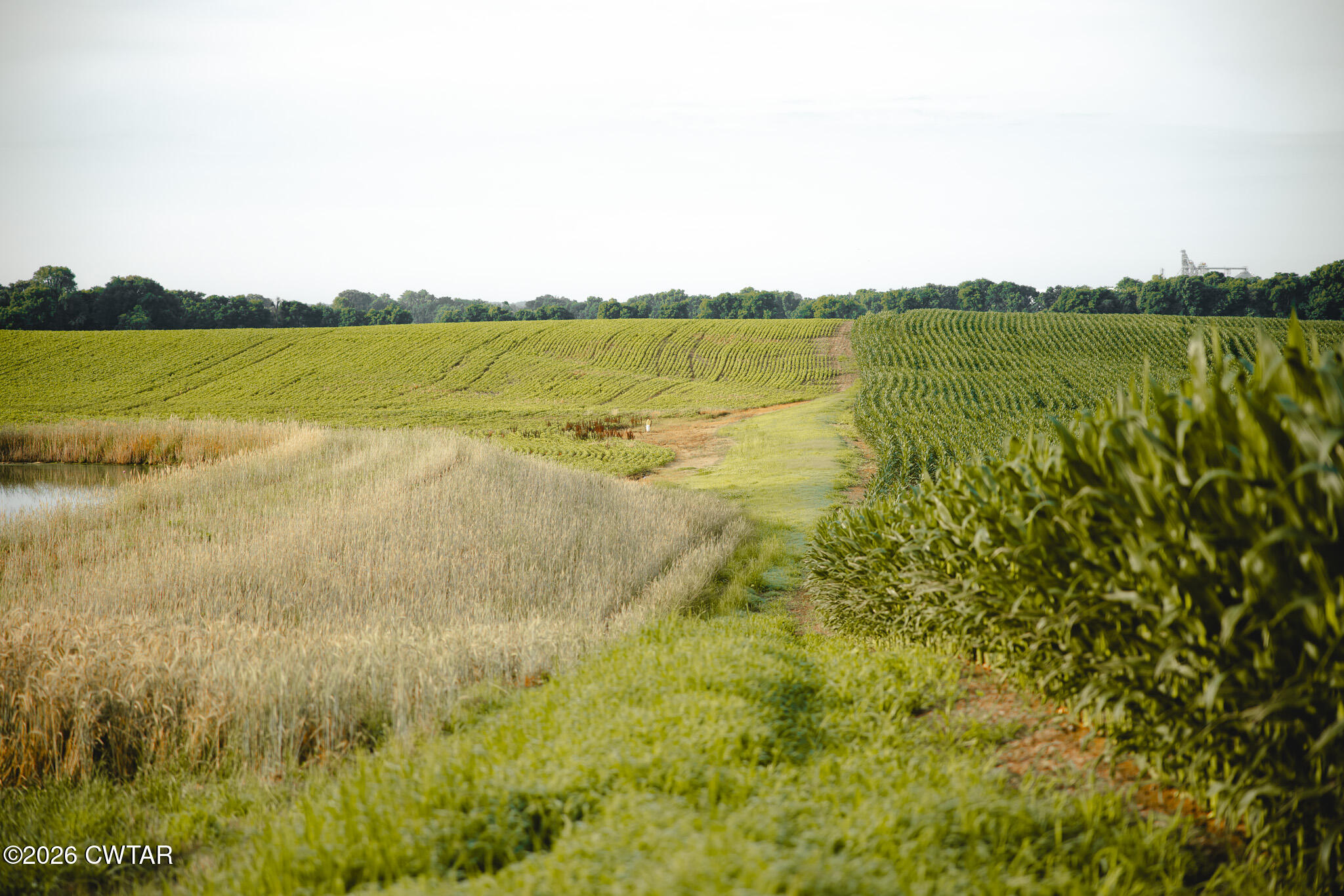 0 Jack Tate Road Obion, TN 38240 - Photo 20 of 23 FT8A0008
