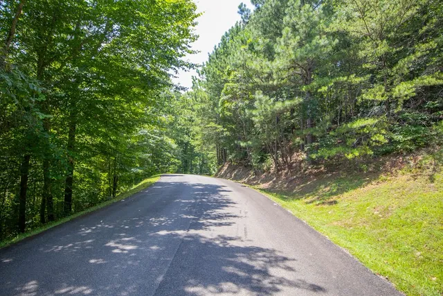 a view of a yard with a trees