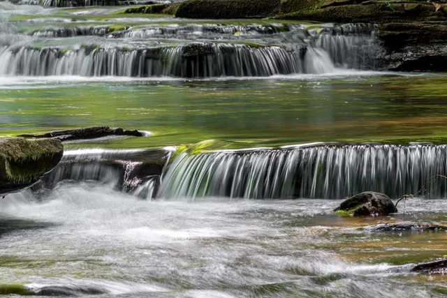 a view of a park with trees