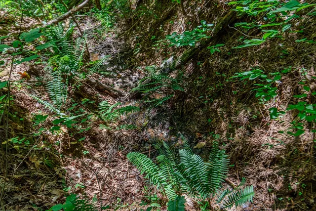 a view of a street with a yard