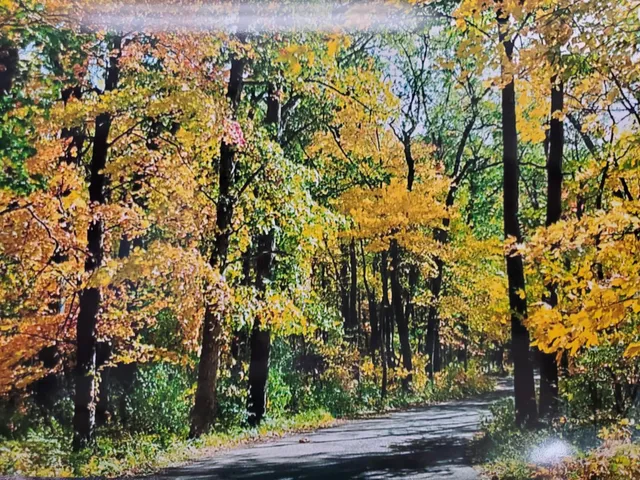 $62,000 | Vl North Shore Drive, Delton, MI 49046