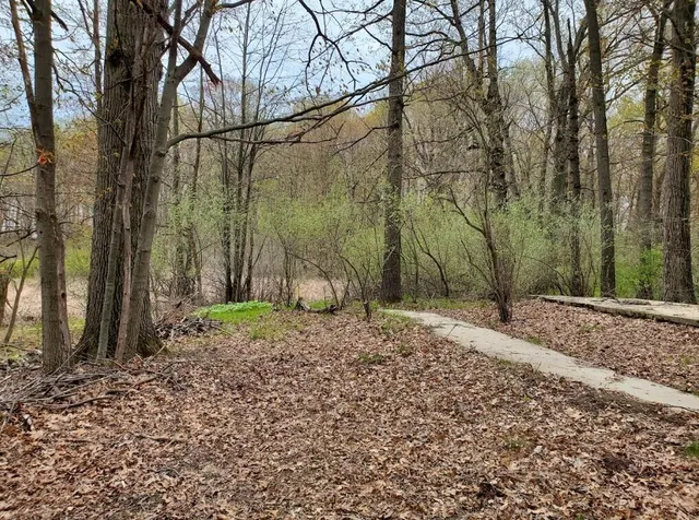 $62,000 | Vl North Shore Drive, Delton, MI 49046