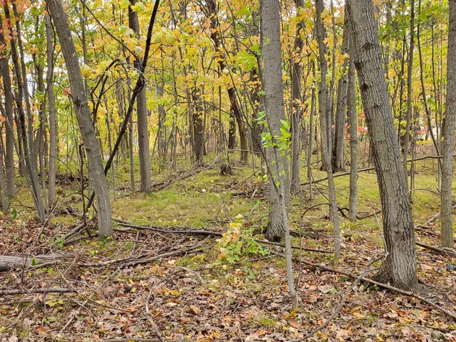 $62,000 | Vl North Shore Drive, Delton, MI 49046