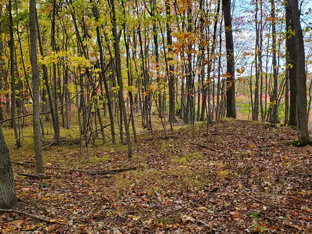 $62,000 | Vl North Shore Drive, Delton, MI 49046