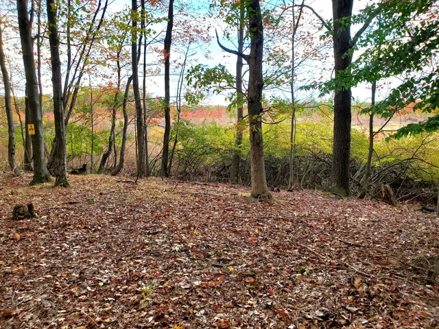 $62,000 | Vl North Shore Drive, Delton, MI 49046