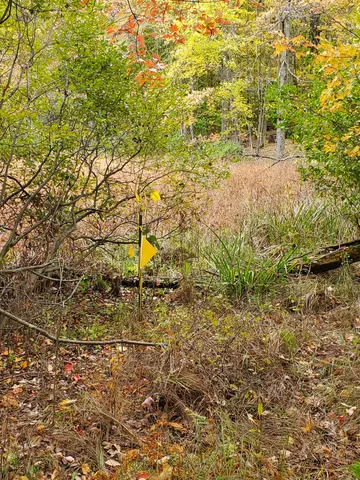 $62,000 | Vl North Shore Drive, Delton, MI 49046