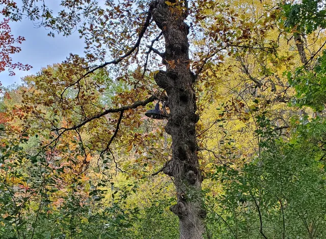 $62,000 | Vl North Shore Drive, Delton, MI 49046