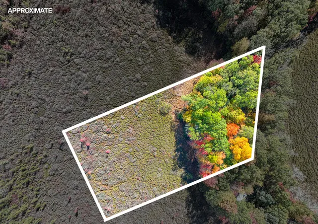 $62,000 | Vl North Shore Drive, Delton, MI 49046