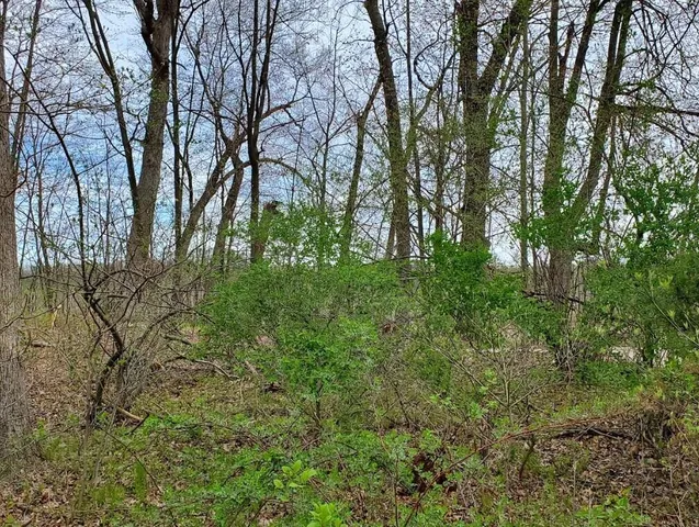 $62,000 | Vl North Shore Drive, Delton, MI 49046