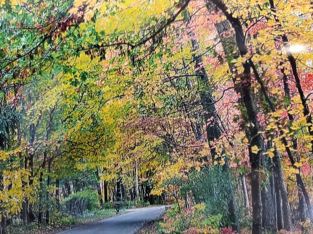 $62,000 | Vl North Shore Drive, Delton, MI 49046